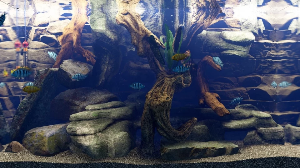 julius-vegen-erkezik-a-biotope-aquarium-simulator